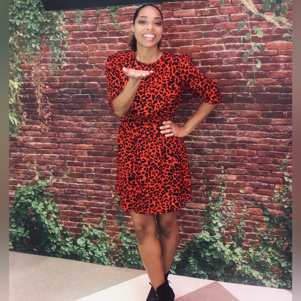 SHEIN Red Leopard Print Long Sleeve Dress